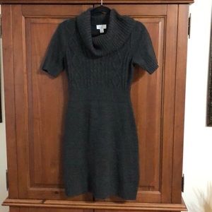 Ann Taylor LOFT Sweater Dress